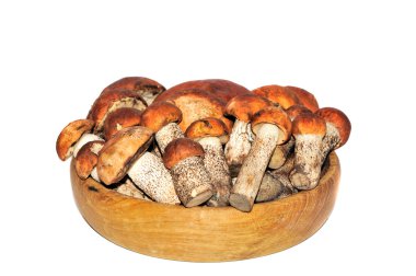 Beyaz arkaplanda mantar 