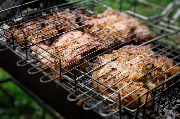 Barbecueën. — Stockfoto