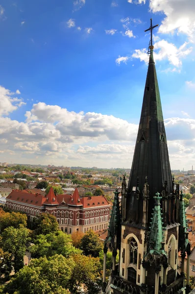 Kilise St. Olha ve Elizabeth şehirde Lviv (Ukrayna) 