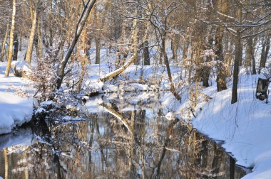 Kar altında kış parkı 