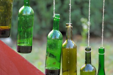 Bir şişe şarap kordonda asılı. 