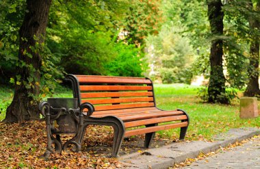 Sonbahar parkında bankta