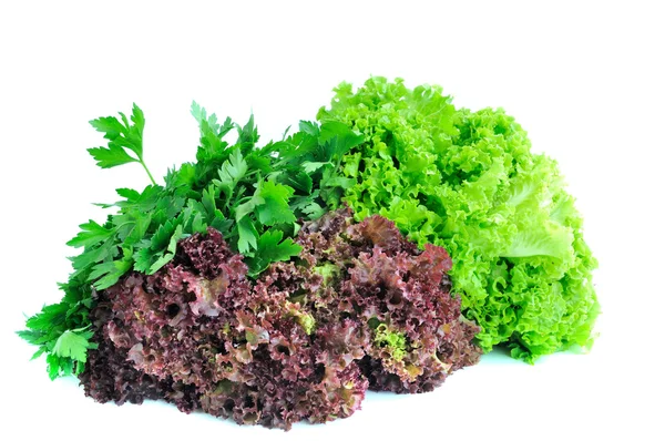 Salade mix — Stockfoto