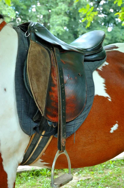 A saddle on the horse — Stock Photo, Image