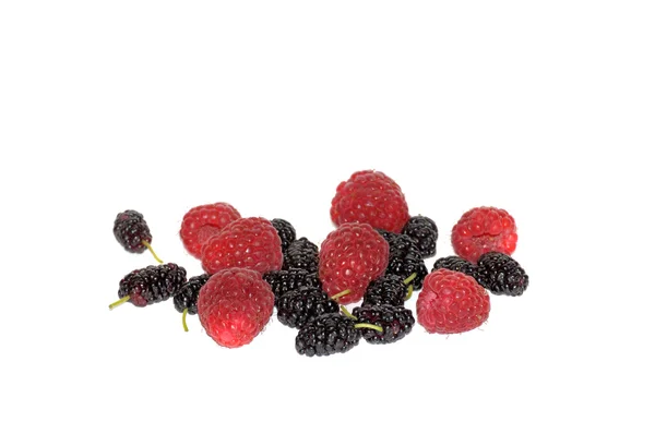 Mulberry and raspberry. — Stock Photo, Image
