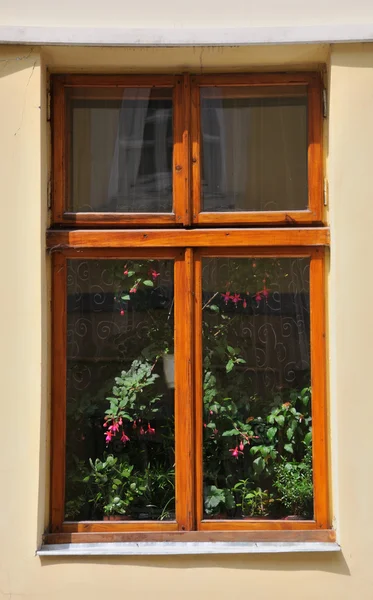 Altes Fenster — Stockfoto