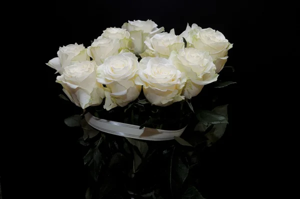 Witte rozen. — Stockfoto