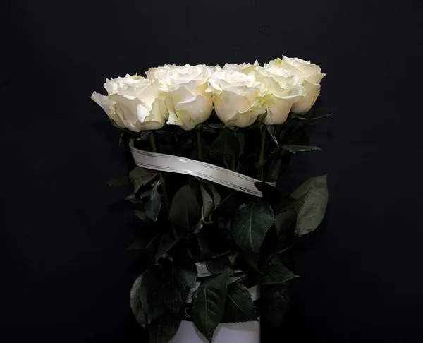 Rosas brancas . — Fotografia de Stock