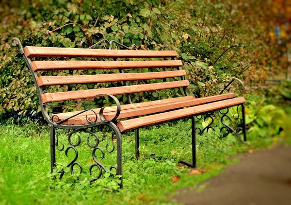 Banc dans le parc — Photo