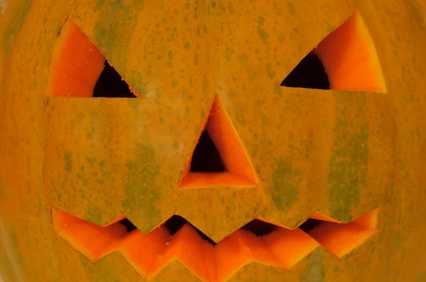 Calabaza de Halloween — Foto de Stock