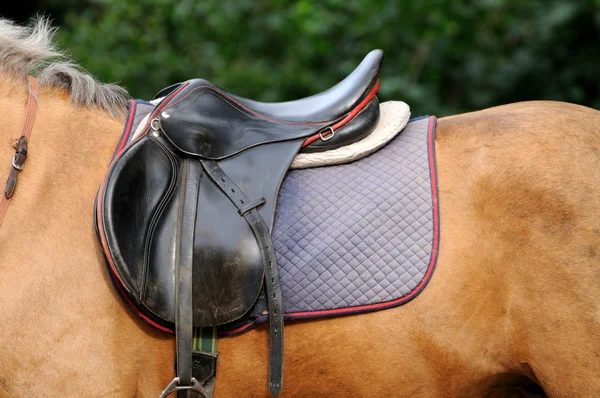 Saddle. — Stock Photo, Image