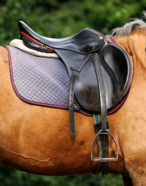 Fechar a sela de cavalo . — Fotografia de Stock