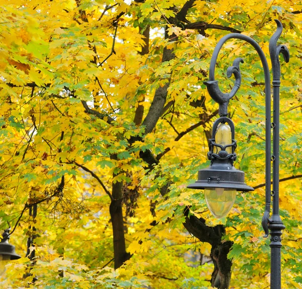 Ліхтар в парку осінь — стокове фото