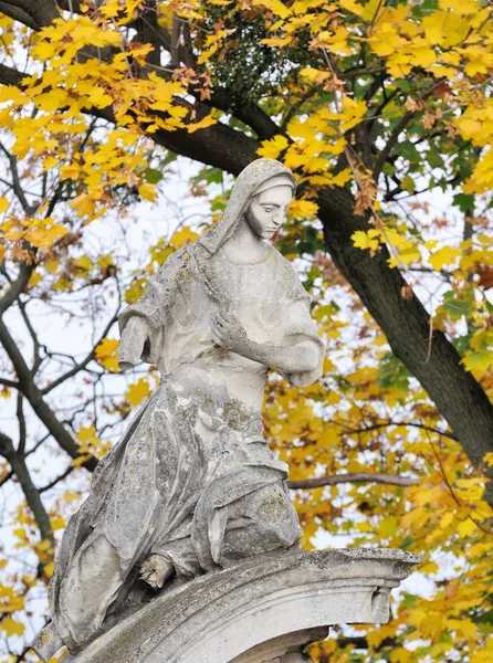 Old statue  in Lviv, Ukraine — Stock Photo, Image