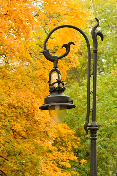 Linterna en el parque otoño —  Fotos de Stock