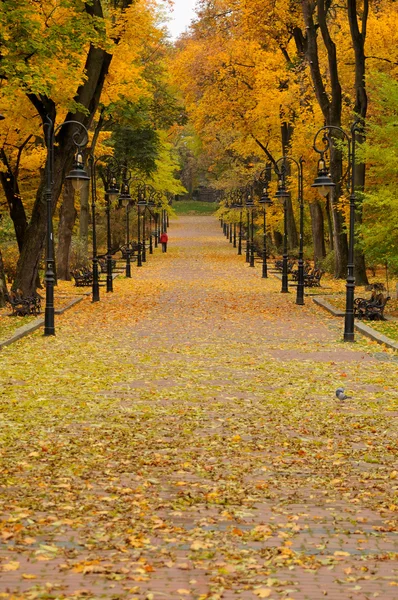 Ліхтар в парку осінь — стокове фото