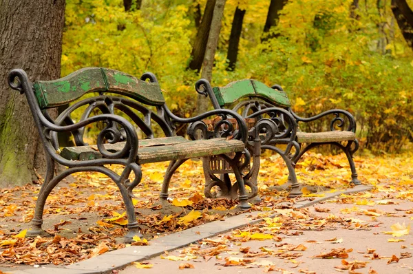 Benchs at the beginning of autumn. — Stock Photo, Image