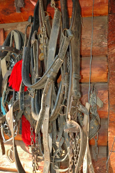 Frenos de caballo de cuero y trozos colgando en la pared —  Fotos de Stock