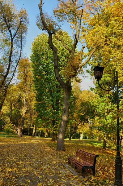 Path in autumn park — Stock Photo, Image