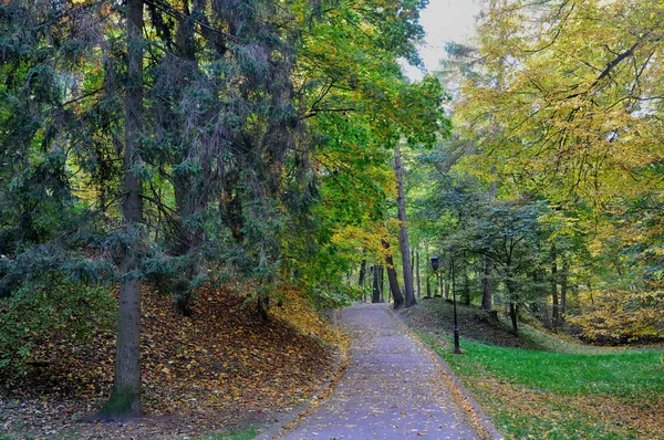 Sentier dans le parc d'automne — Photo