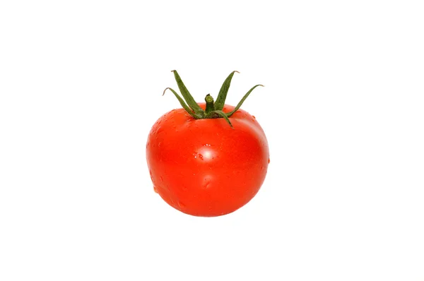 Tomatoes . — Stock Photo, Image