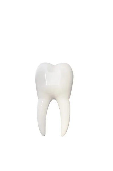 Dente — Foto Stock