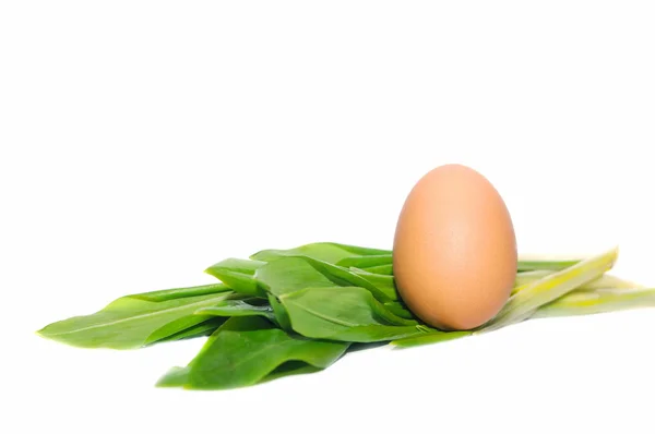 Easter Egg — Stock Photo, Image