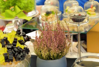 Saksı tatlılar tablo