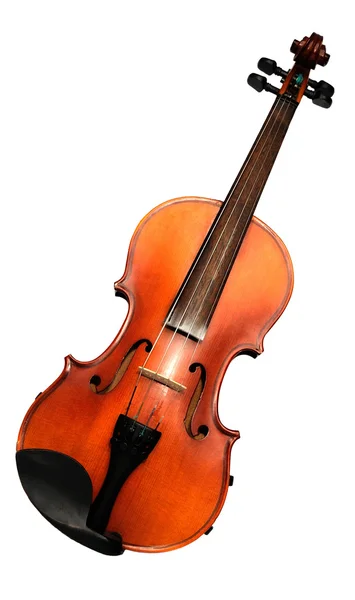 Violin front view isolated on white — Stock Photo, Image