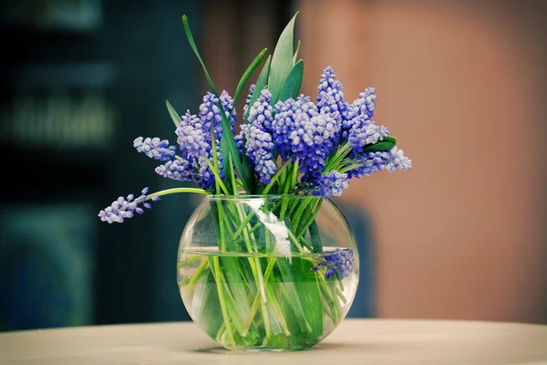 Spring flowers in a glass vase — Stock Photo, Image