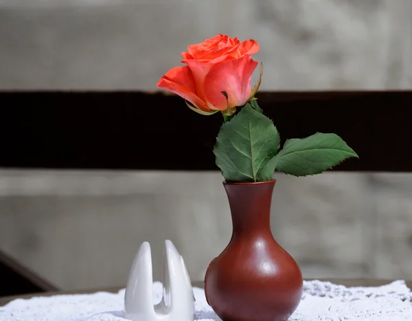 Red rose in vase — Stock Photo, Image