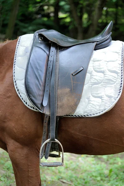 A saddle on the horse — Stock Photo, Image