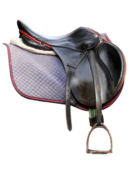 Black leather saddle isolated on white Stock Image