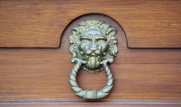 หัวสิงโตเคาะประตู — ภาพถ่ายสต็อก