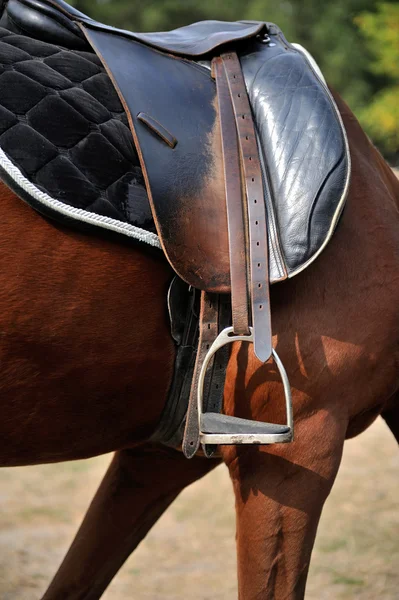 Detalhe de uma sela de cavalo — Fotografia de Stock