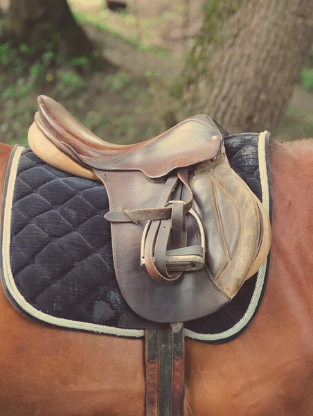 Detail of a horse saddle — Stock Photo, Image