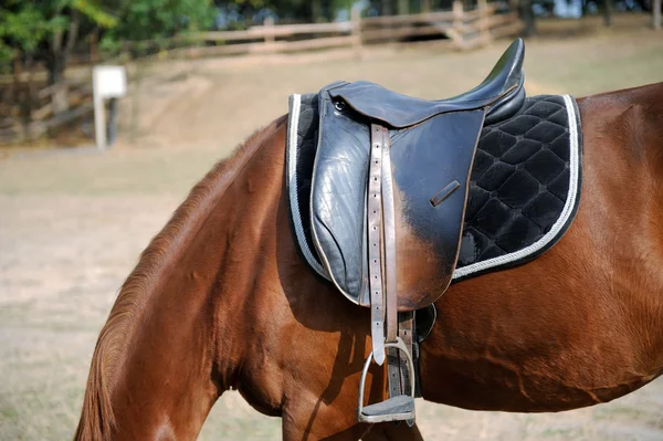 Detail of a horse saddle — Stock Photo, Image