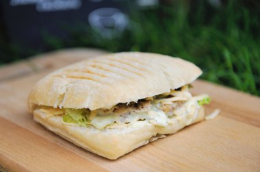 Popüler İtalyan panini sandviç ile jambon