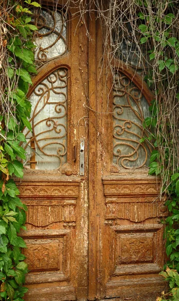 Wooden door overgrown with vine — Stock Photo, Image