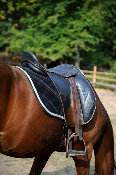 Una silla de montar en el caballo —  Fotos de Stock