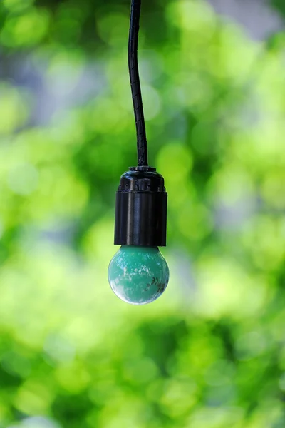 Light bulbs hanging from a tree — Stock Photo, Image