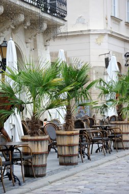 Antik Avrupa sokak Lviv