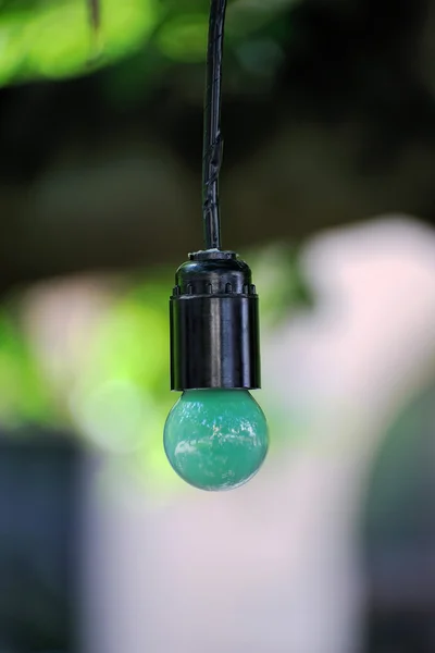 Glühbirnen hängen an einem Baum — Stockfoto