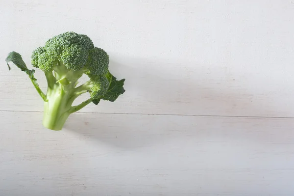 Één broccoli — Stockfoto
