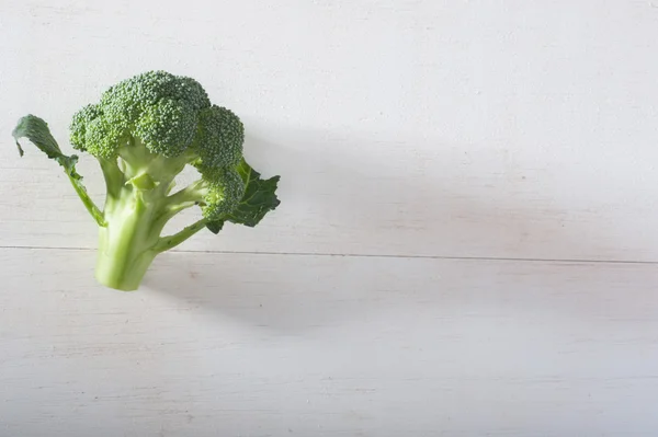 Single Brocoli — Stock Photo, Image