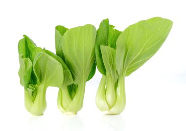 Beyaz arkaplanda bok choy.