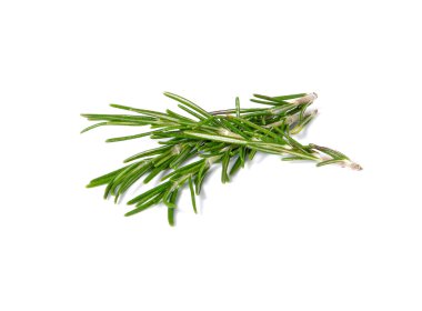 Rosemary on white background.