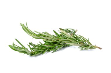 Rosemary on white background.