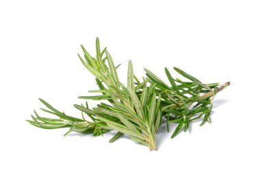 Rosemary on white background.