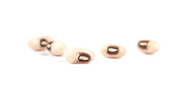 beyaz zemin üzerine beyaz fasulye.